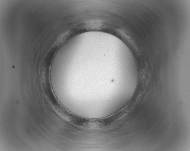 X0000078880209200612042033