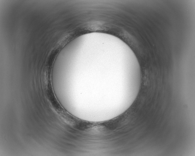 X0000078880210200612042033