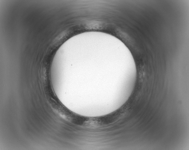 X0000078880211200612042033