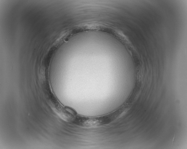 X0000078880213200612042033