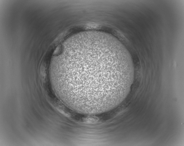 X0000078880215200612042033