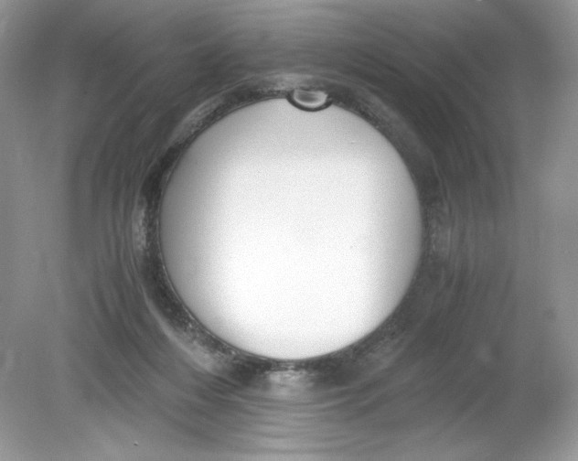 X0000078880216200612042033