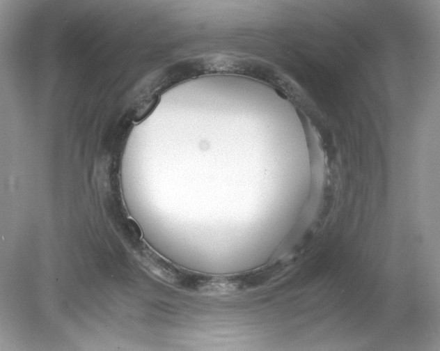 X0000078880217200612042032