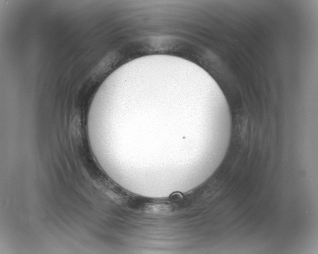 X0000078880220200612042032