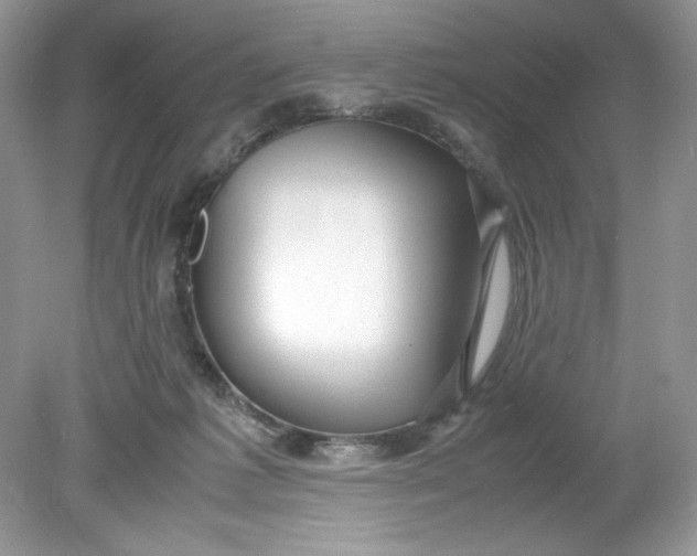 X0000078880221200612042032