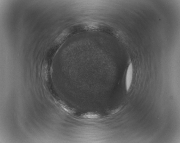 X0000078880223200612042032