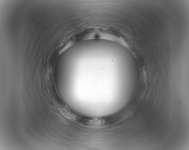 X0000078880225200612042032