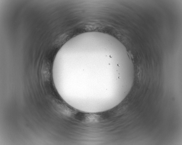 X0000078880226200612042032