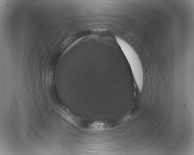 X0000078880227200612042032