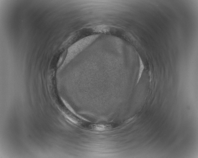 X0000078880229200612042032