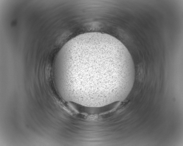 X0000078880230200612042032