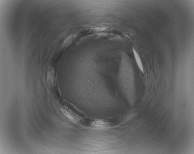 X0000078880231200612042032