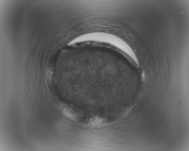 X0000078880235200612042032