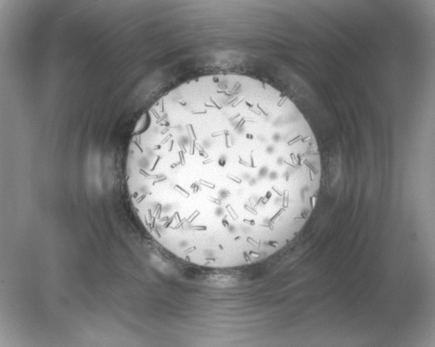 X0000078880236200612042032