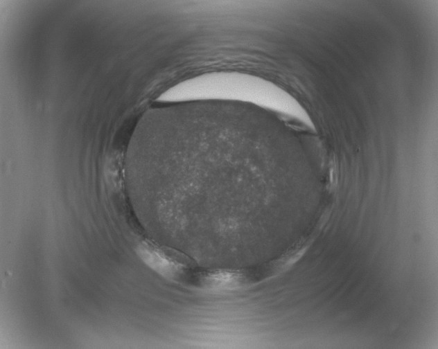 X0000078880237200612042032