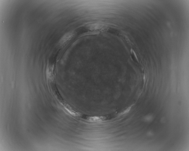 X0000078880239200612042032