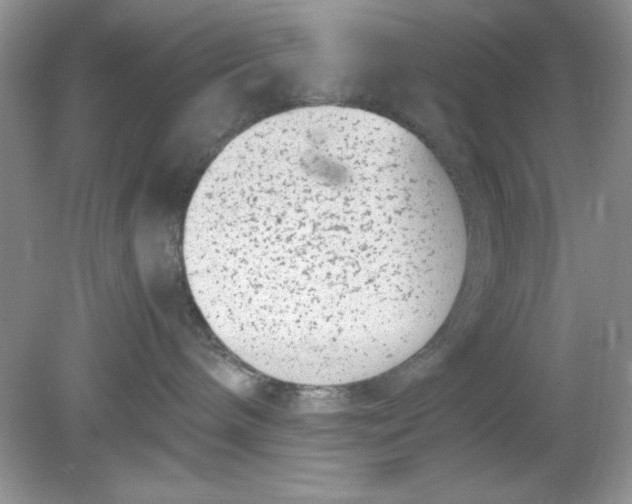 X0000078880240200612042032