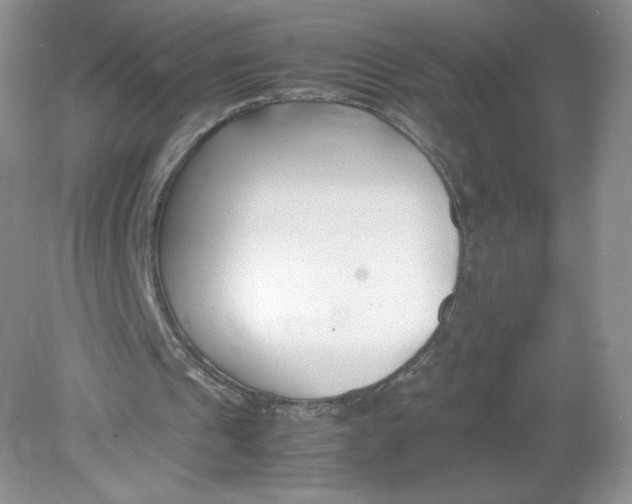 X0000078880241200612042031