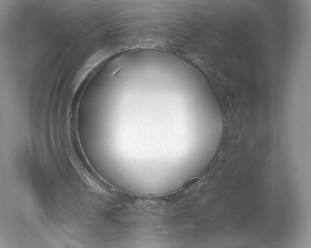 X0000078880242200612042031