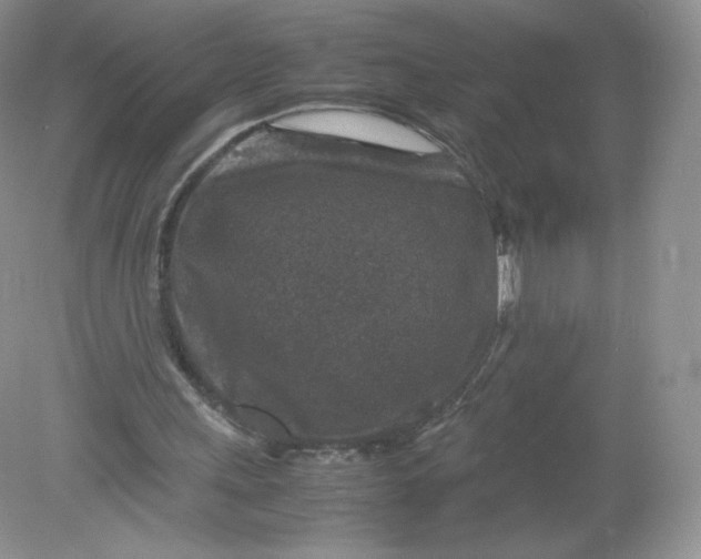 X0000078880243200612042031