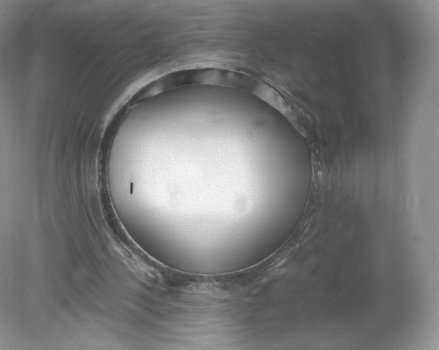 X0000078880244200612042031