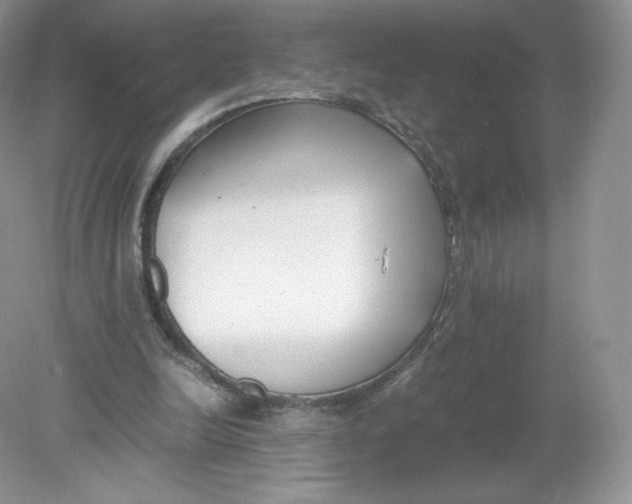 X0000078880246200612042031