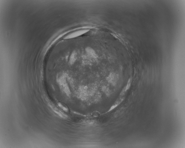 X0000078880247200612042031