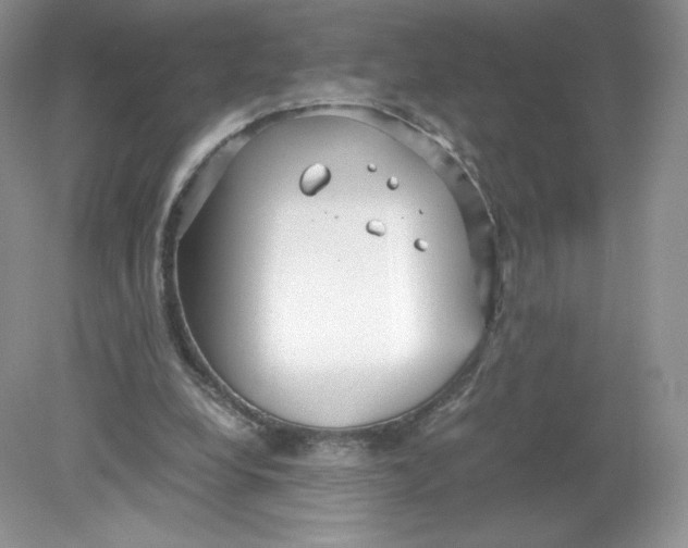 X0000078880248200612042031