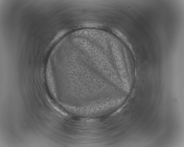 X0000078880249200612042031