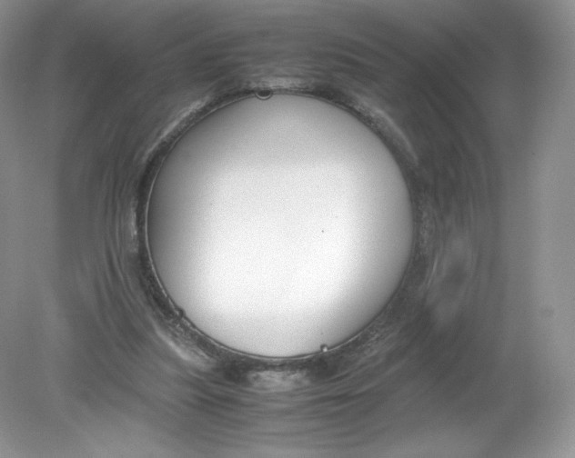 X0000078880251200612042031