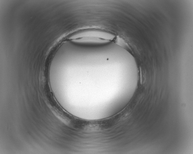 X0000078880252200612042031