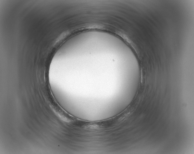 X0000078880253200612042032