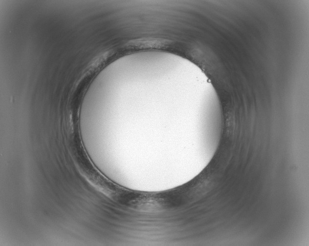 X0000078880254200612042032