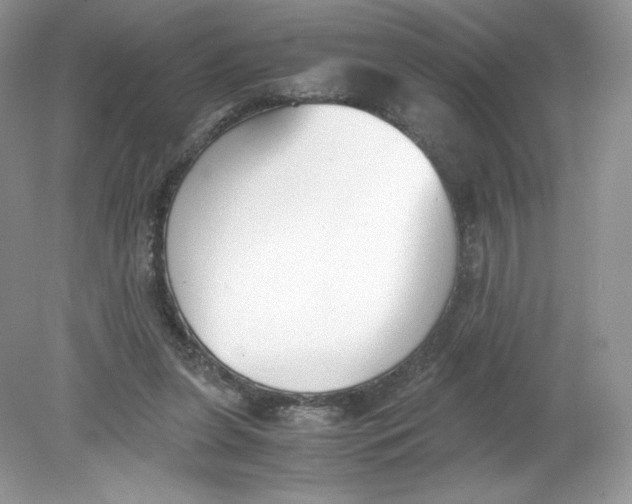 X0000078880255200612042032