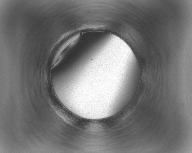 X0000078880256200612042032