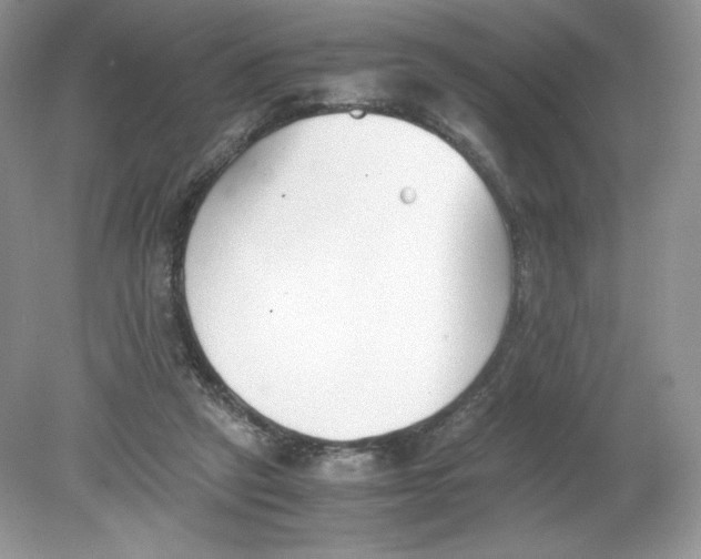 X0000078880257200612042032