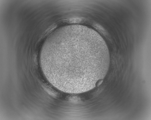 X0000078880258200612042032