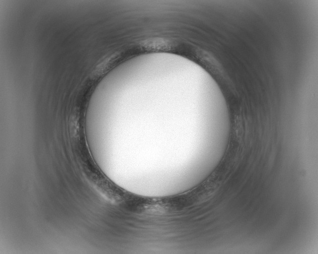 X0000078880259200612042032