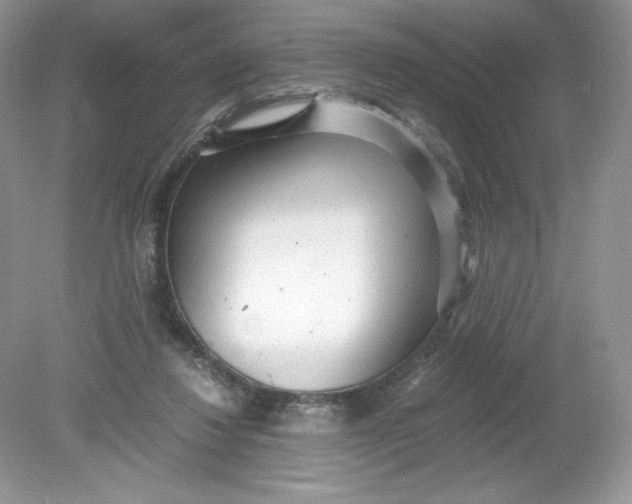 X0000078880260200612042032