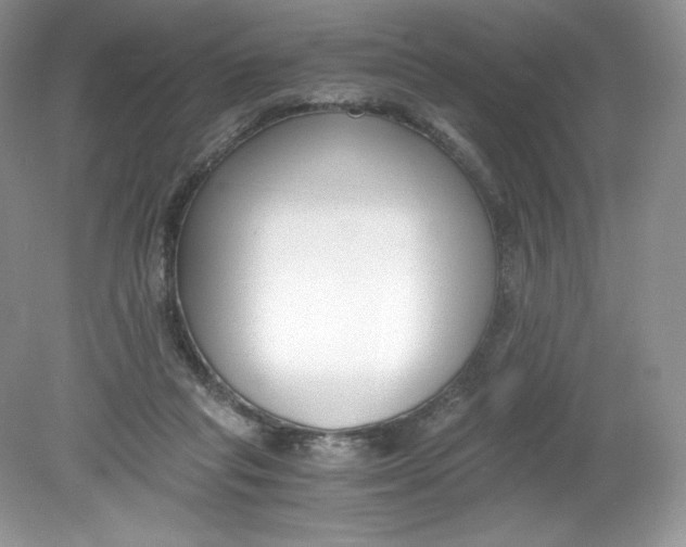 X0000078880261200612042032