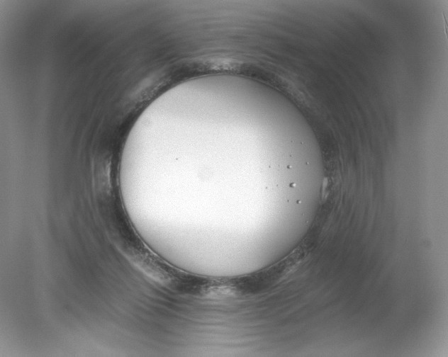 X0000078880262200612042032