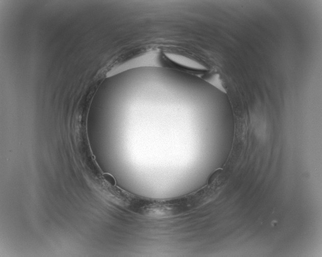 X0000078880263200612042032