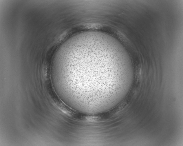 X0000078880268200612042032