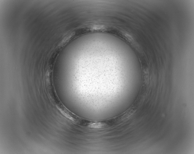 X0000078880269200612042032