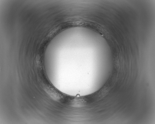 X0000078880270200612042032