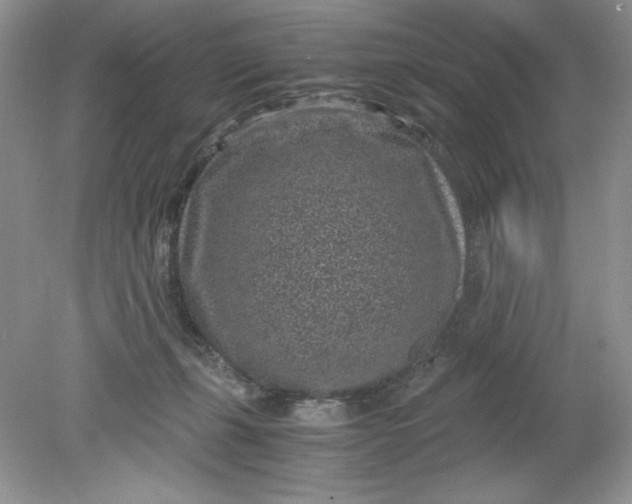 X0000078880271200612042032