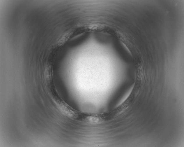 X0000078880272200612042032