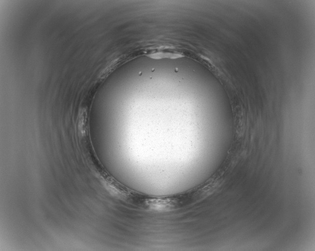 X0000078880273200612042032