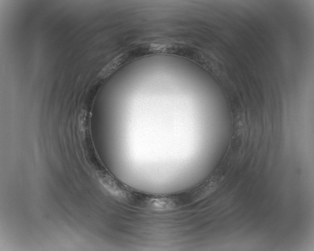 X0000078880275200612042032