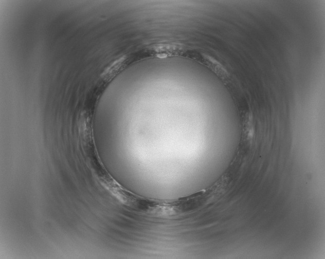 X0000078880276200612042032